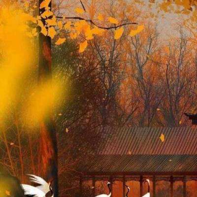 主宰飞仙满v版下载
